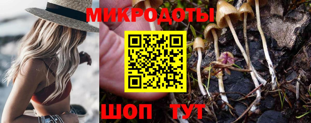 Галлюциногенные грибы Psilocybine cubensis Джанкой