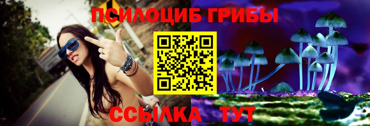 Джанкой  Псилоцибиновые грибы GOLDEN TEACHER  Вход с VPN 